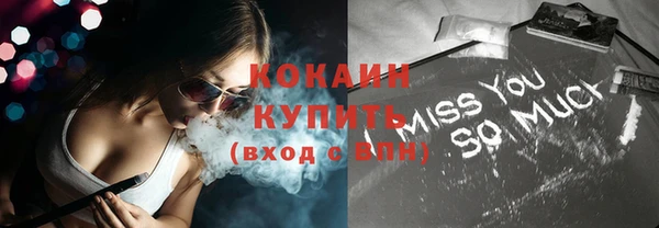 PSILOCYBIN Гатчина