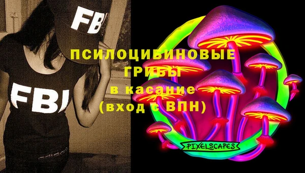 сатива Куйбышев