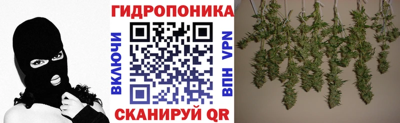Канабис индика  Кремёнки 